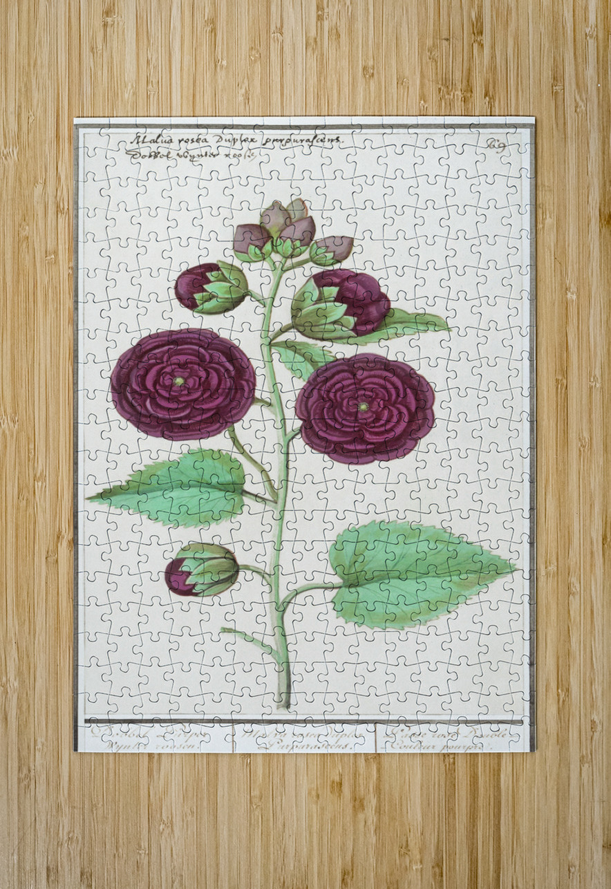 Alcea in vintage style IStockHistory com Puzzle printing