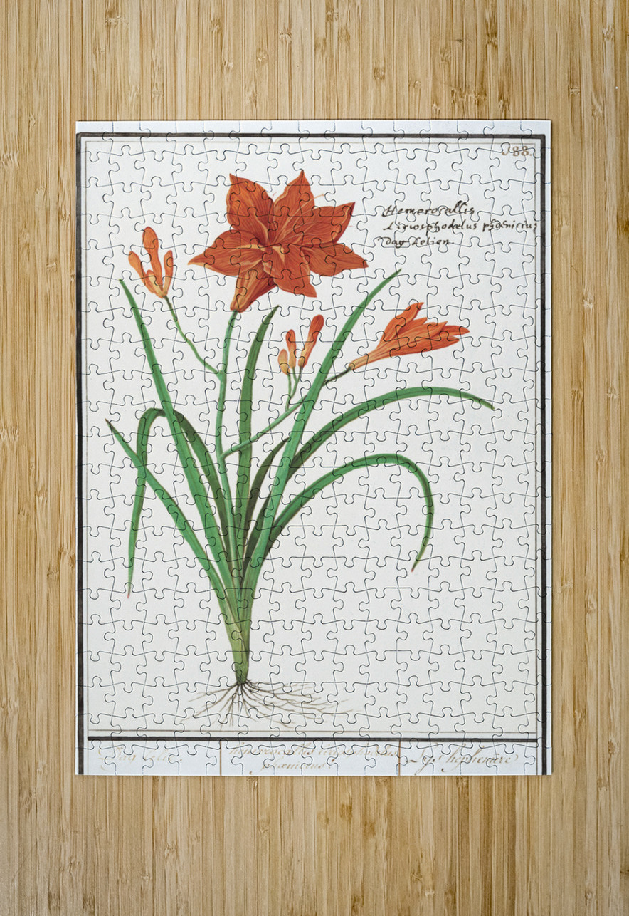 Orange daylily in vintage style IStockHistory com Puzzle printing