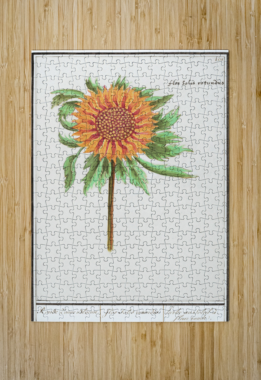 Sunflower in vintage style IStockHistory com Puzzle printing