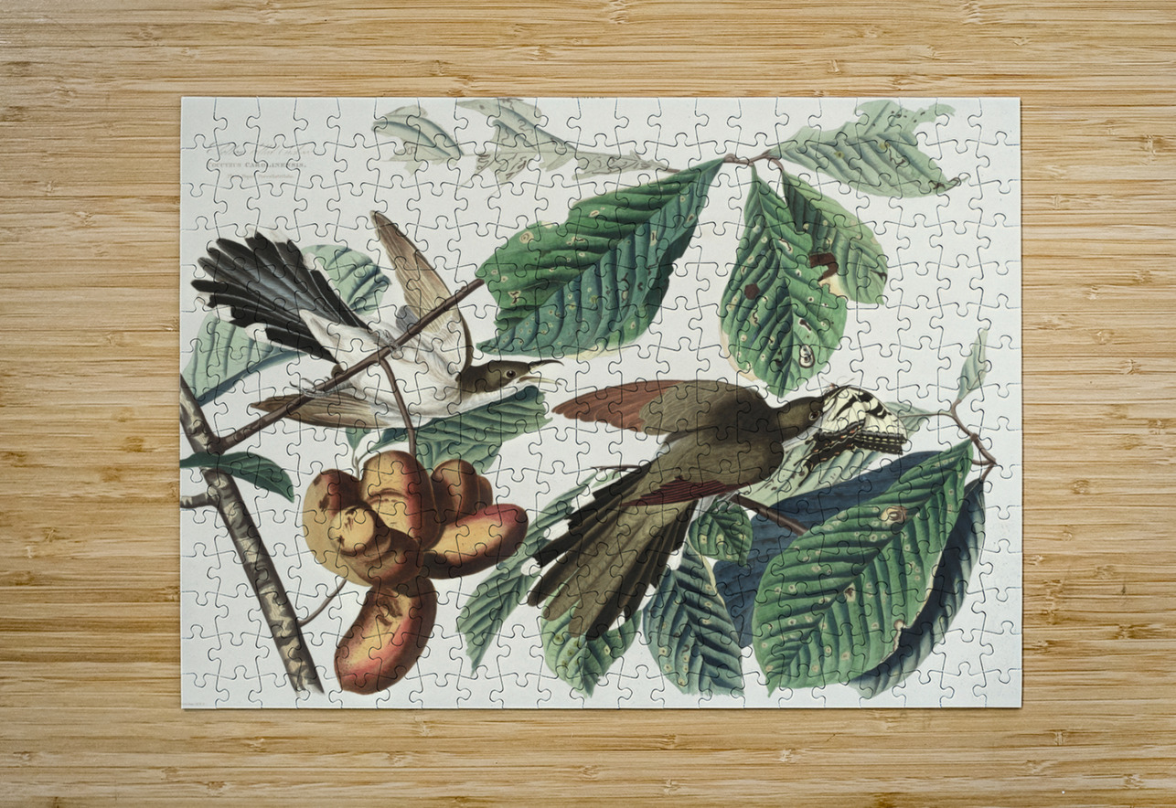 Yellow-billed Cuckoo IStockHistory com Puzzle printing