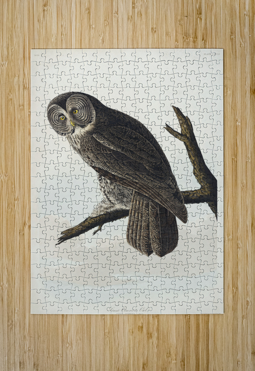 Great Cinereous Owl IStockHistory com Puzzle printing