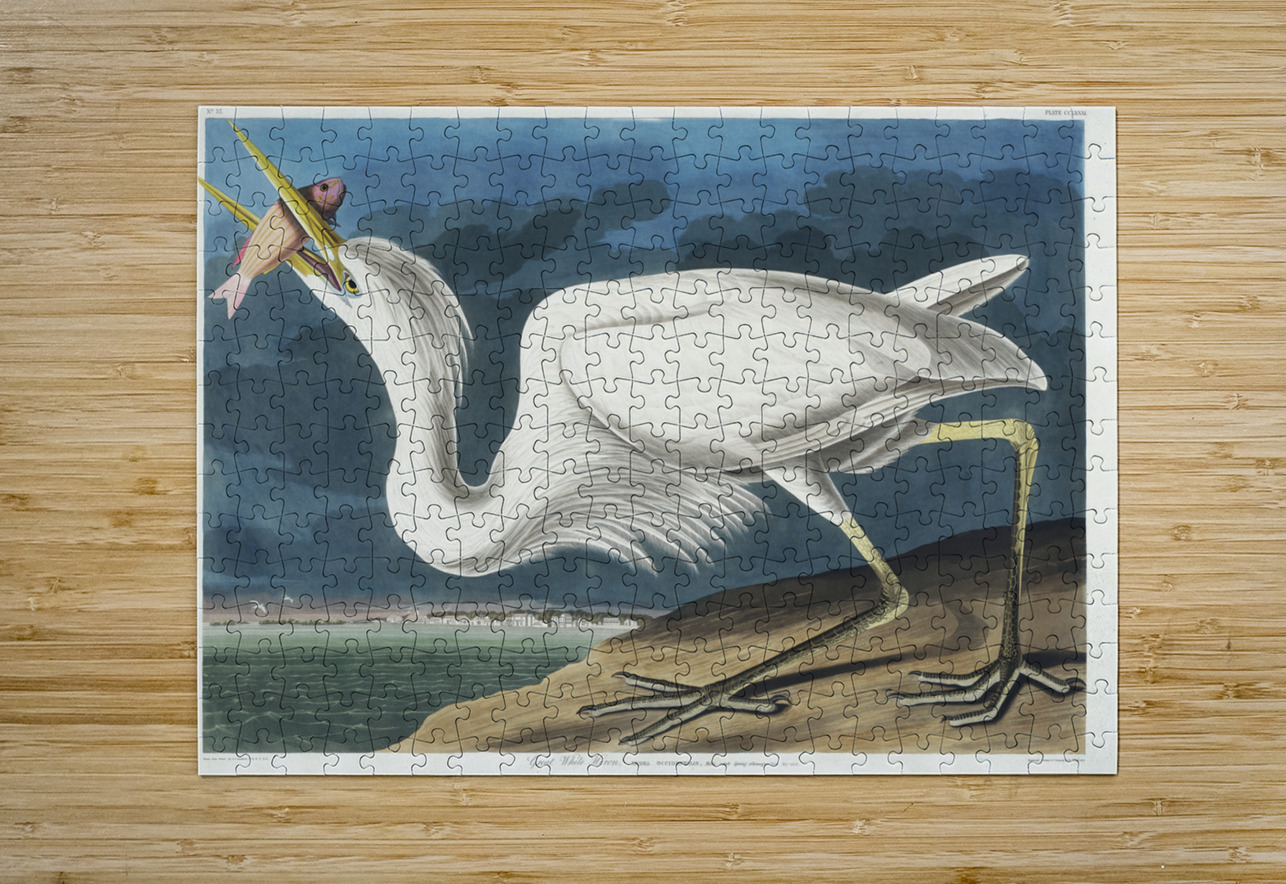 Great White Heron IStockHistory com Puzzle printing