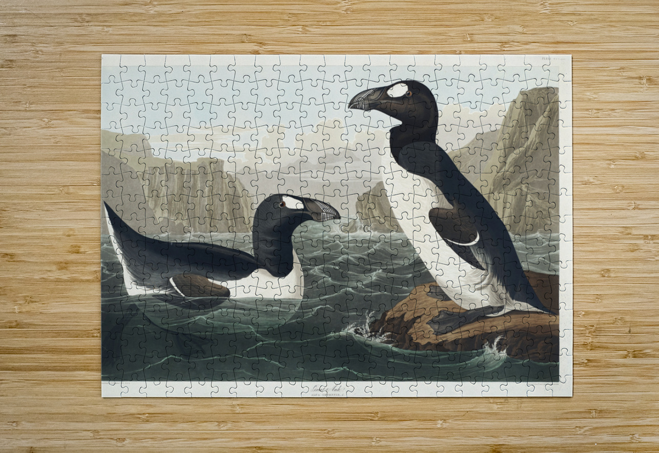 Great Auk IStockHistory com Puzzle printing