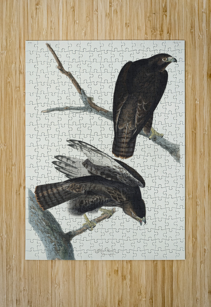 Black Warrior IStockHistory com Puzzle printing