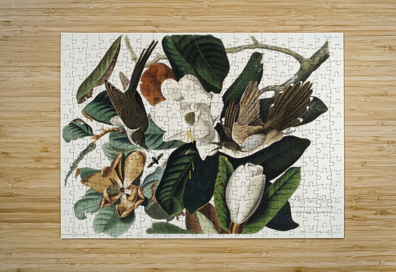 Black-billed Cuckoo IStockHistory com Puzzle printing