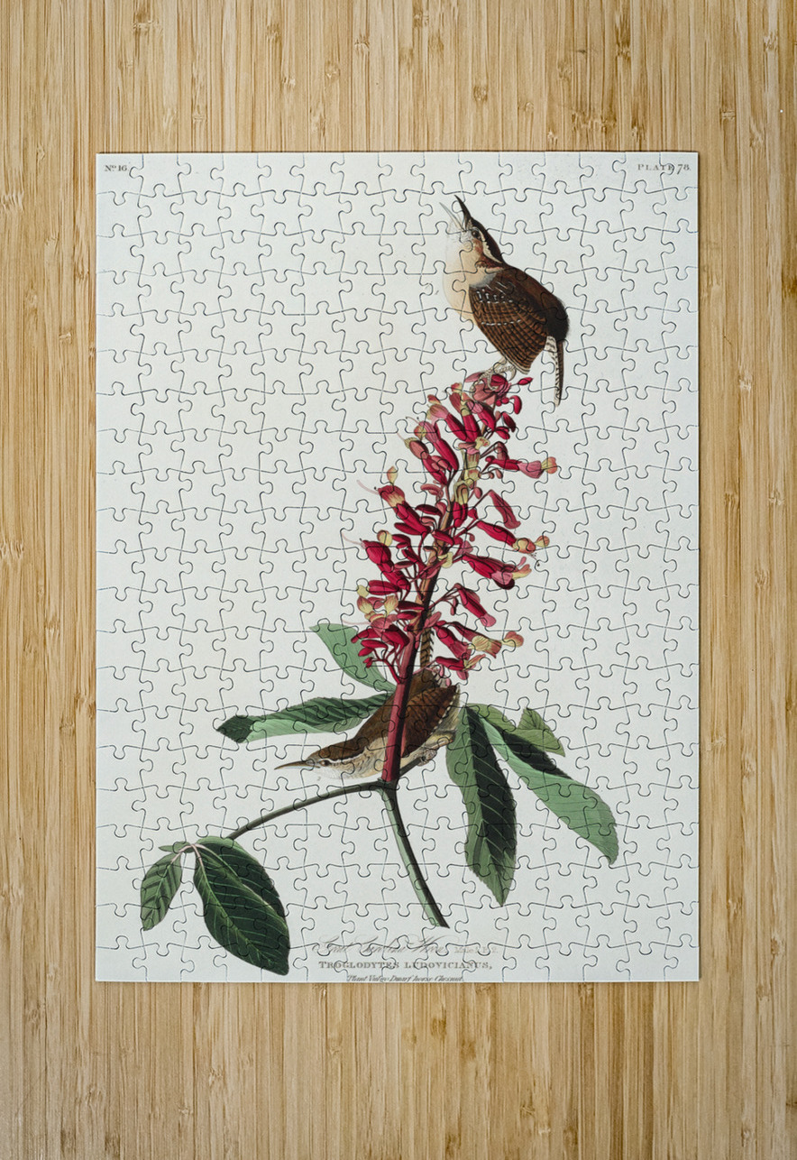 Great Carolina Wren IStockHistory com Puzzle printing