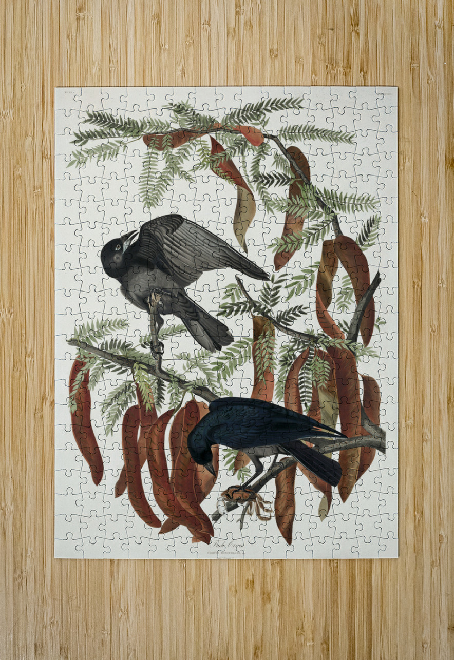 Fish Crow IStockHistory com Puzzle printing