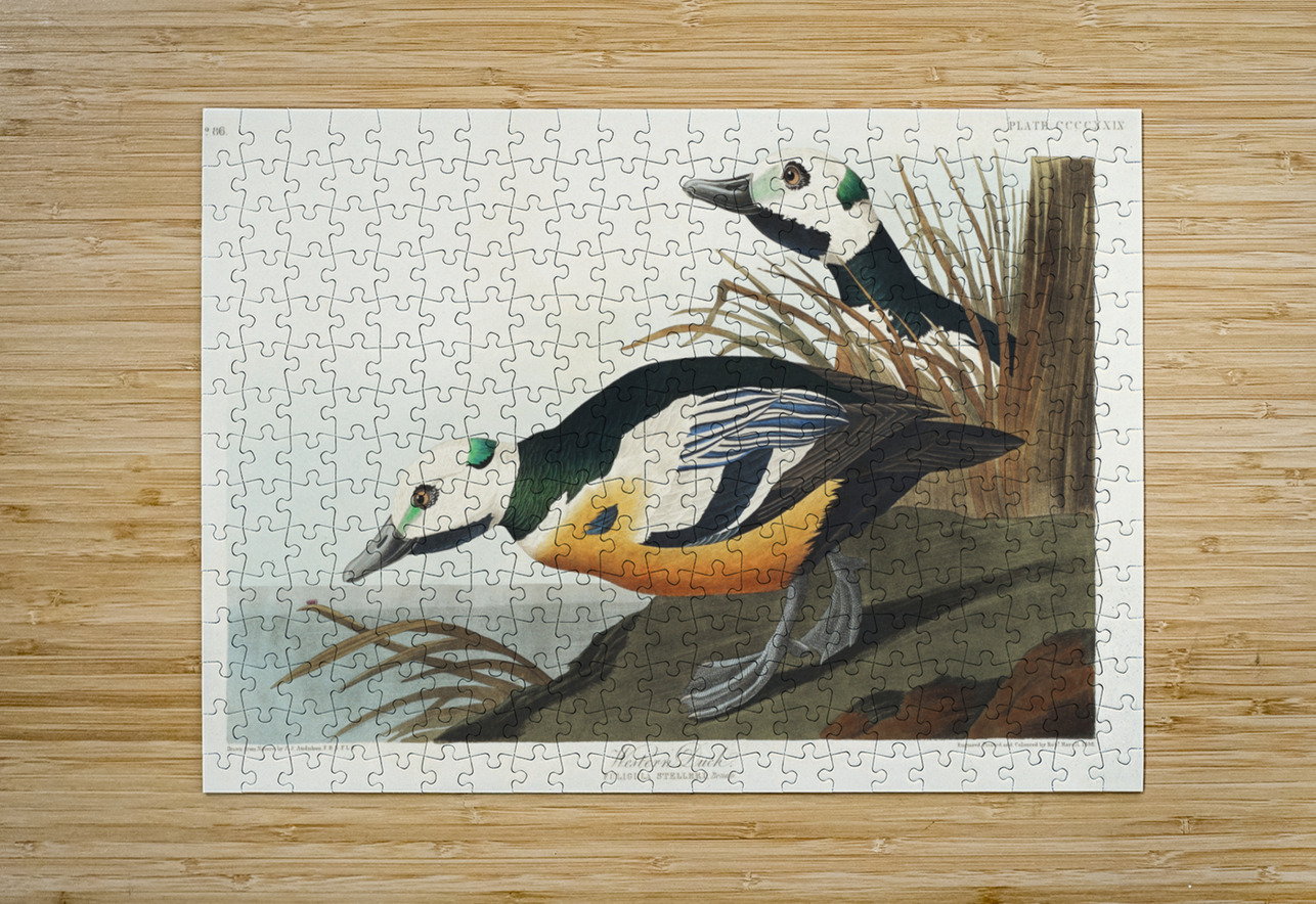 Western Duck IStockHistory com Puzzle printing