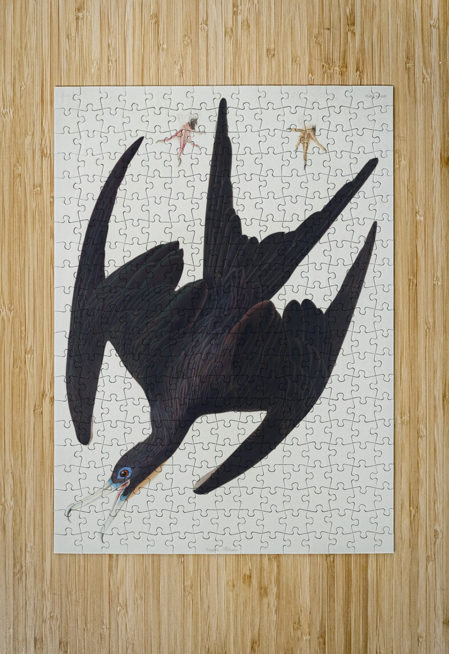 Chestnut-sided Warbler IStockHistory com Puzzle printing