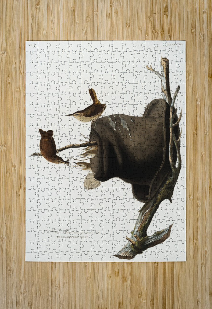 House Wren IStockHistory com Puzzle printing
