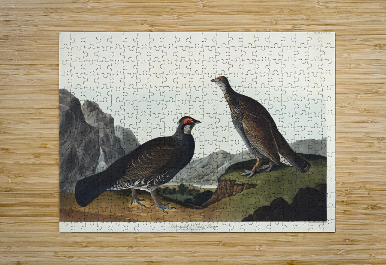 Long-tailed or Dusky Grous IStockHistory com Puzzle printing