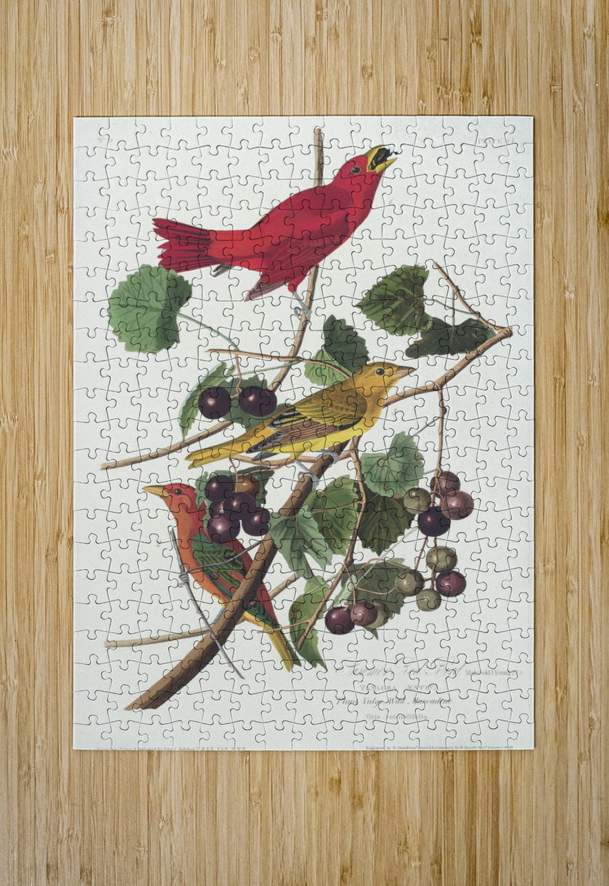 Summer Red Bird IStockHistory com Puzzle printing