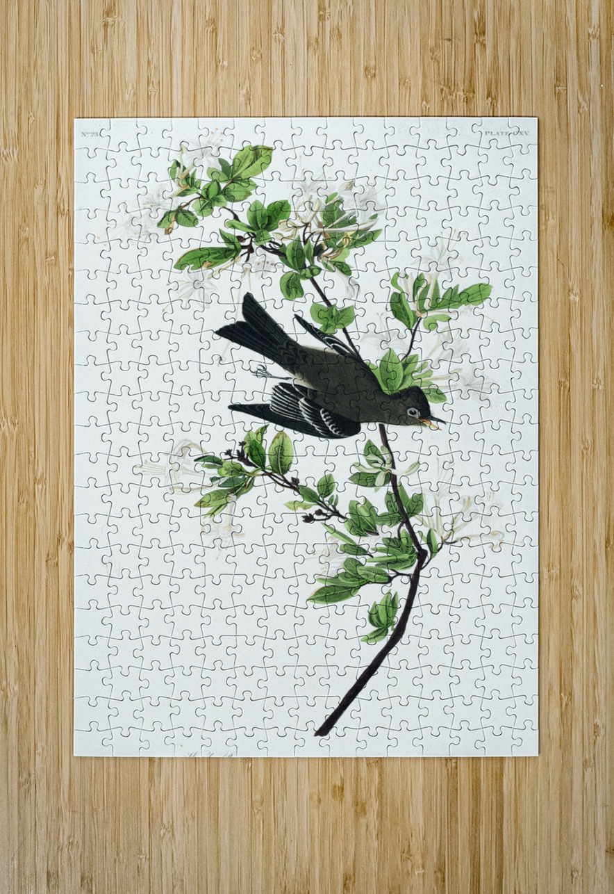 Wood Pewee IStockHistory com Puzzle printing