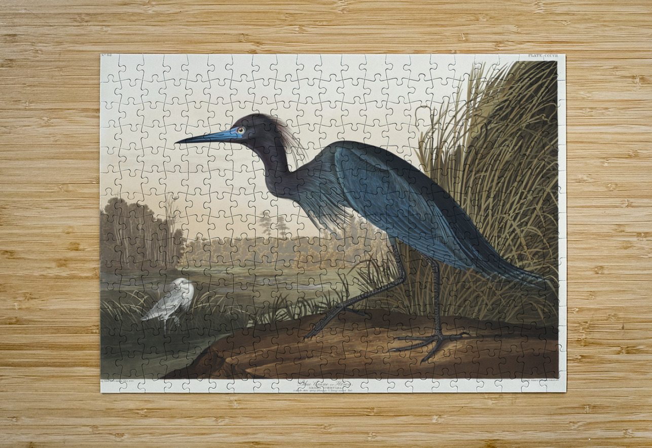 Blue Crane or Heron IStockHistory com Puzzle printing