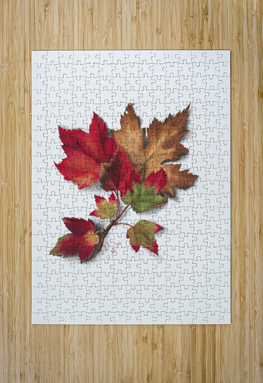 Autumn Leaves 1874 IStockHistory com Puzzle printing