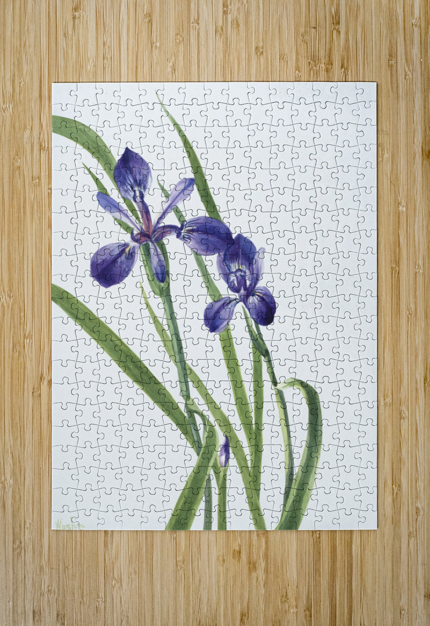 Iris Iris species 1939 IStockHistory com Puzzle printing