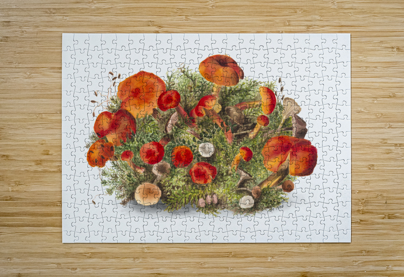 Study of Mushrooms 1880 IStockHistory com Puzzle printing