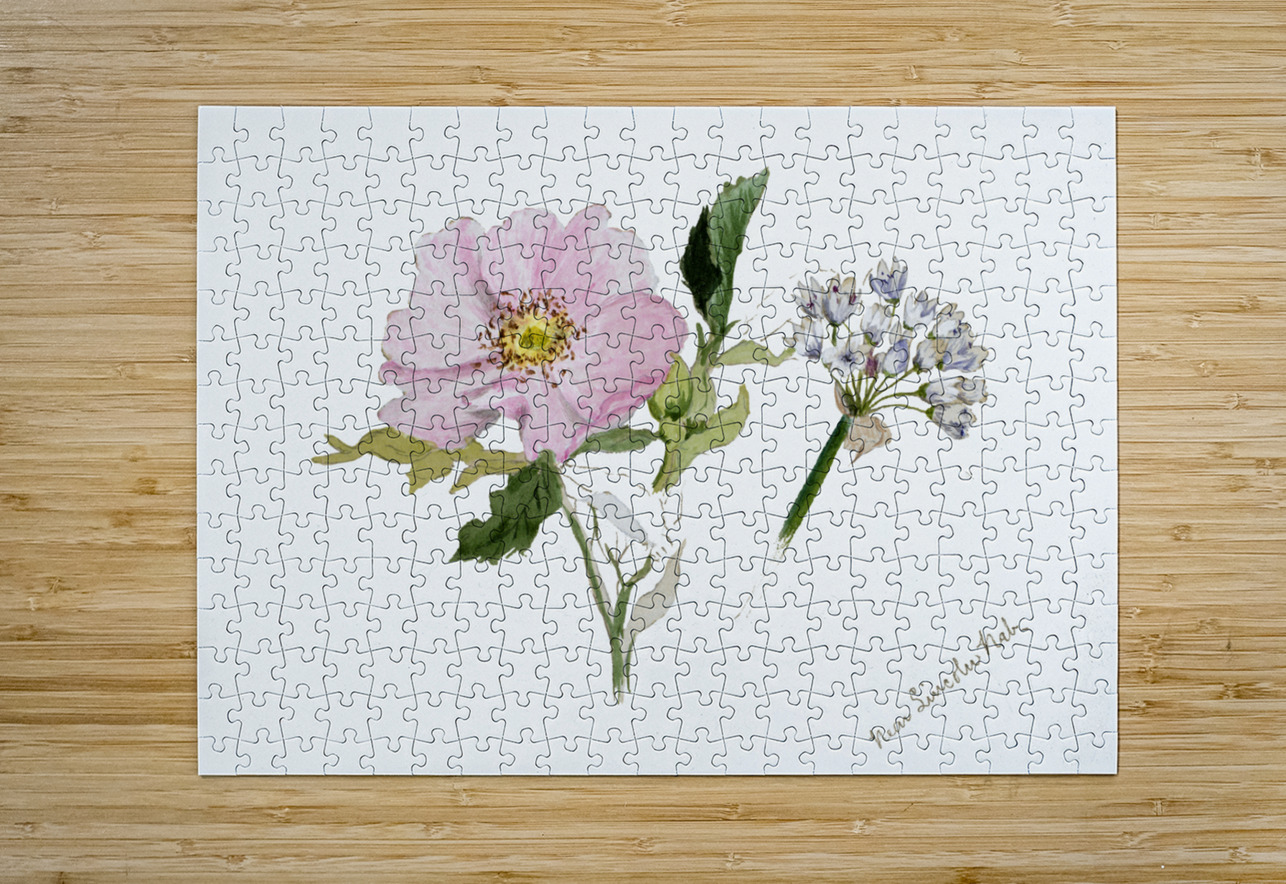Flower Study 1876–1878 IStockHistory com Puzzle printing