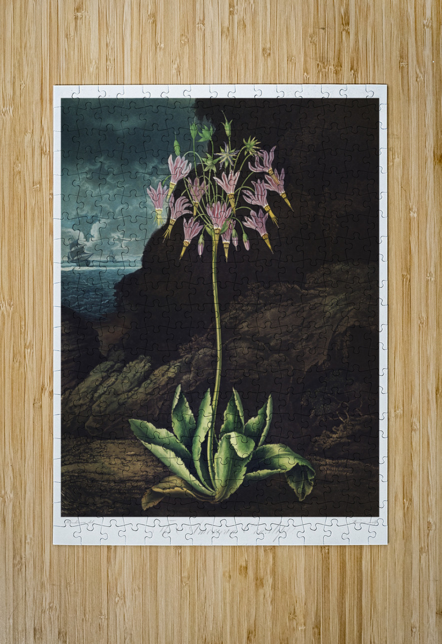 The American Cowslip IStockHistory com Puzzle printing