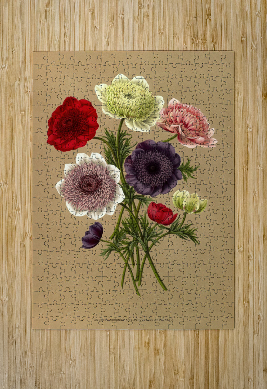Album van Eeden : Haarlems flora : 1872-1881 IStockHistory com Puzzle printing