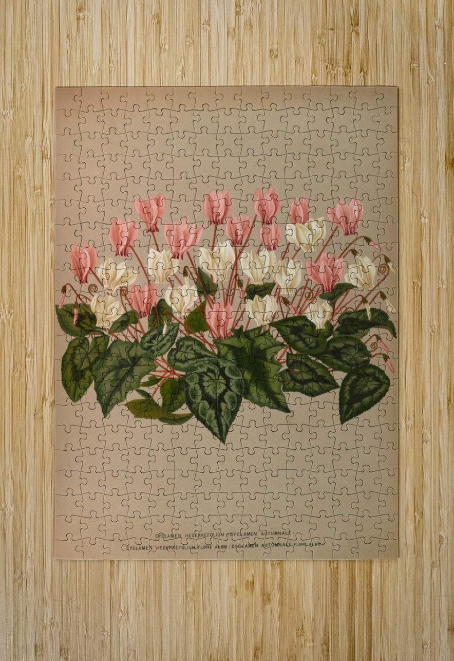 Album van Eeden : Haarlems flora : 1872-1881 IStockHistory com Puzzle printing