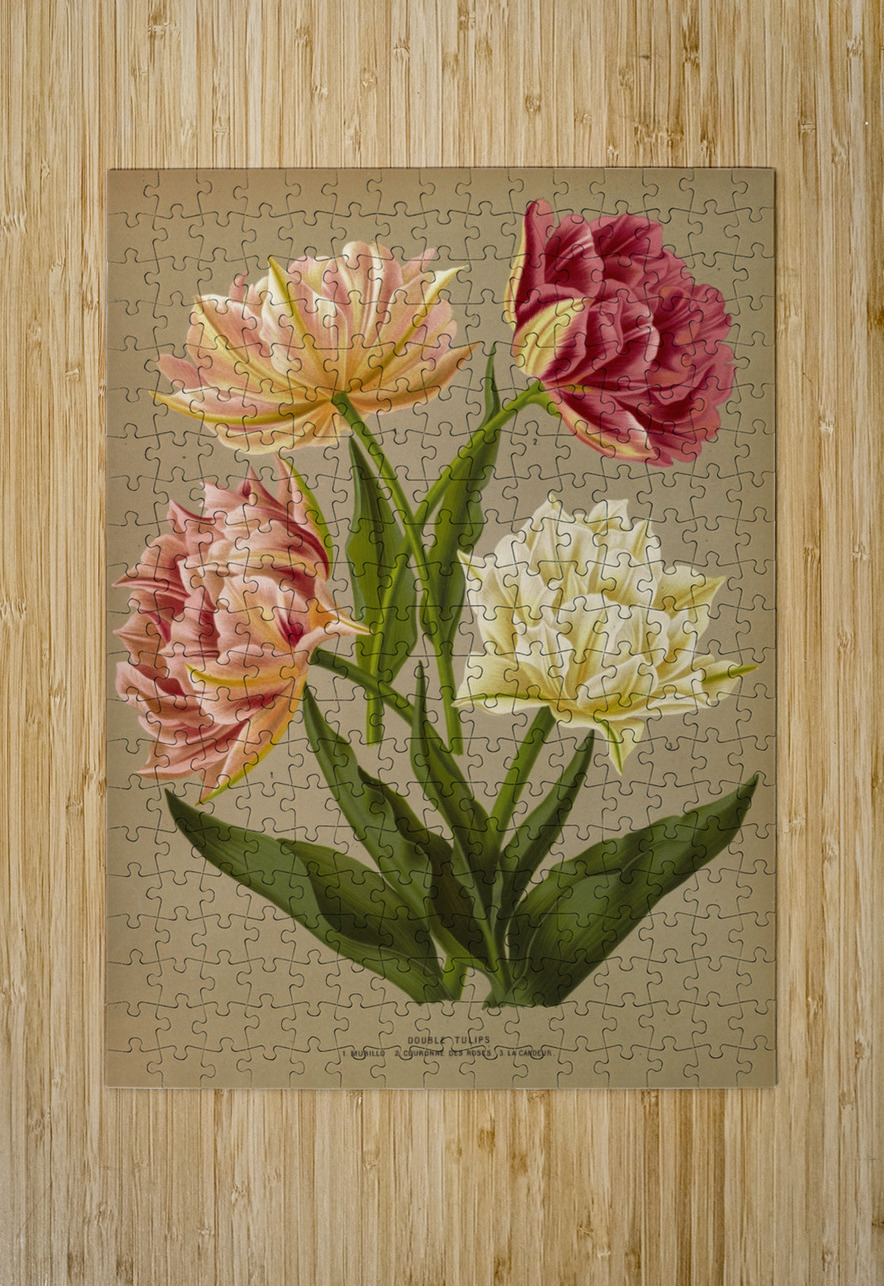 Album van Eeden : Haarlems flora : 1872-1881 IStockHistory com Puzzle printing