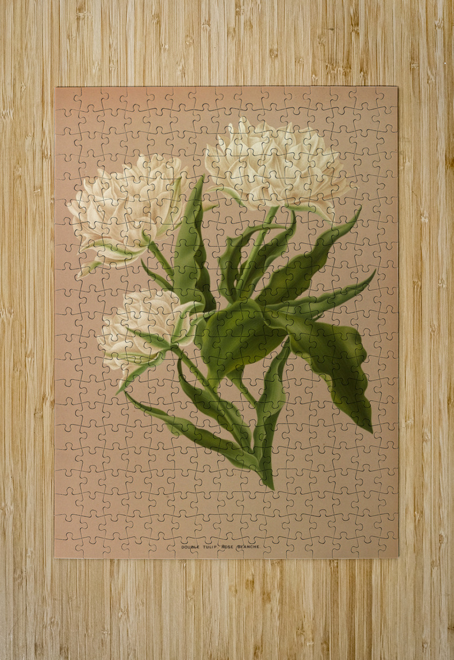 Album van Eeden : Haarlems flora : 1872-1881 IStockHistory com Puzzle printing