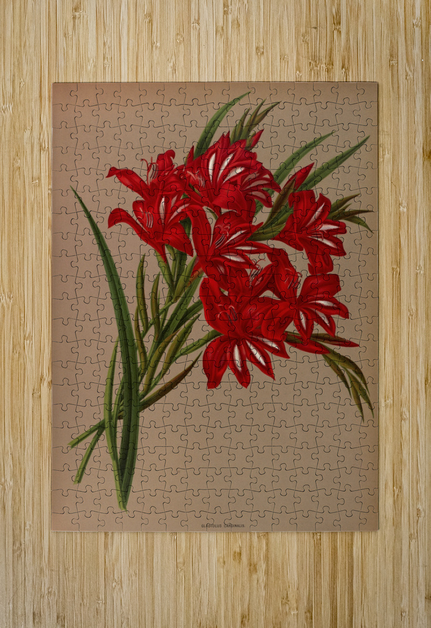 Album van Eeden : Haarlems flora : 1872-1881 IStockHistory com Puzzle printing