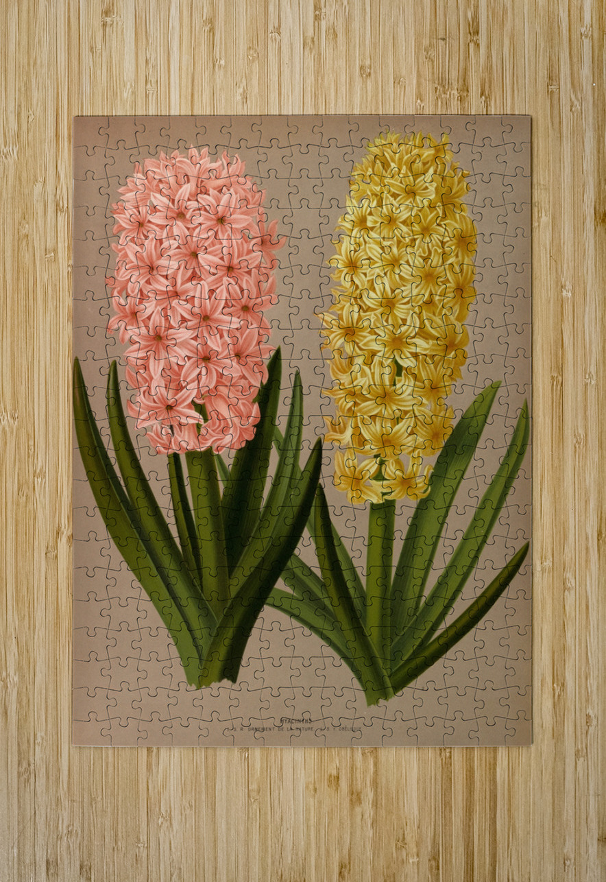 Album van Eeden : Haarlems flora : 1872-1881 IStockHistory com Puzzle printing