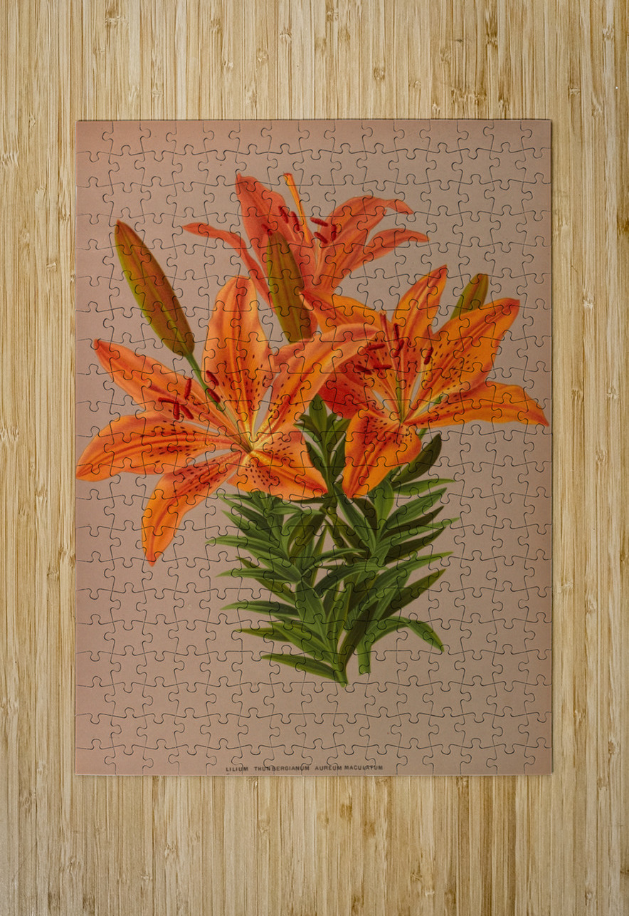 Album van Eeden : Haarlems flora : 1872-1881 IStockHistory com Puzzle printing