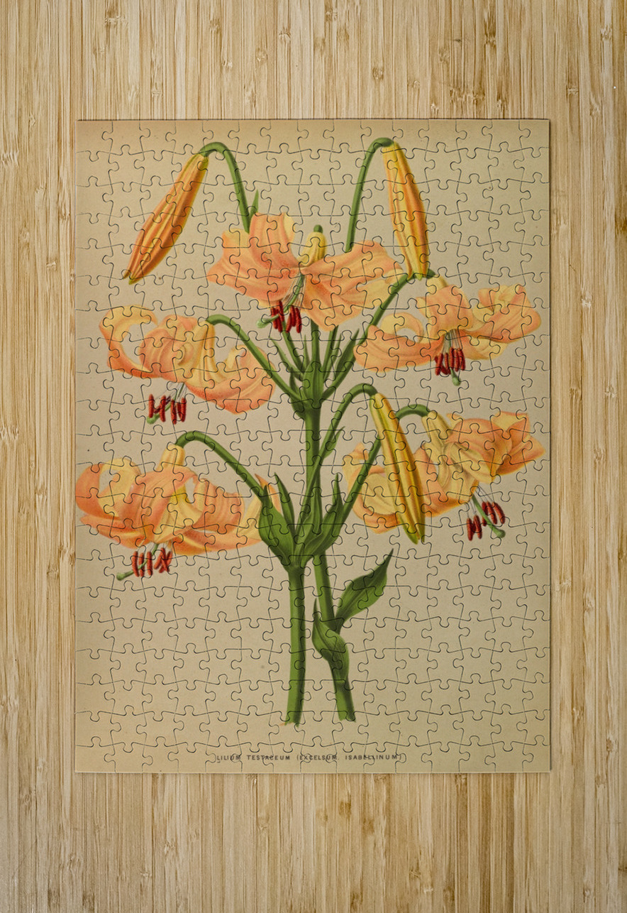 Album van Eeden : Haarlems flora : 1872-1881 IStockHistory com Puzzle printing