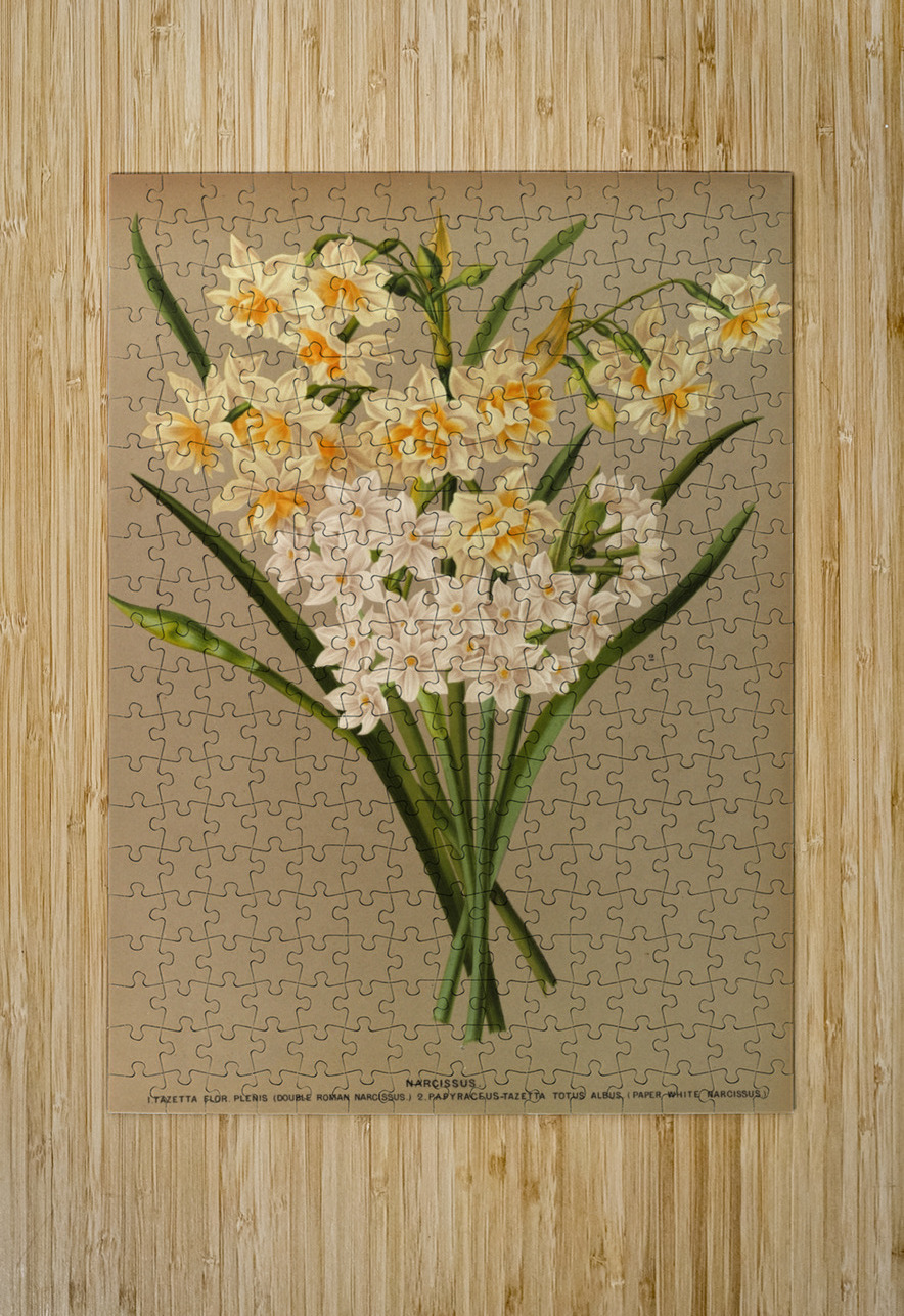 Album van Eeden : Haarlems flora : 1872-1881 IStockHistory com Puzzle printing