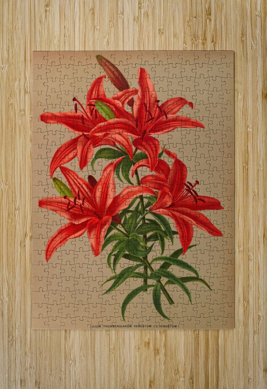 Album van Eeden : Haarlems flora : 1872-1881 IStockHistory com Puzzle printing
