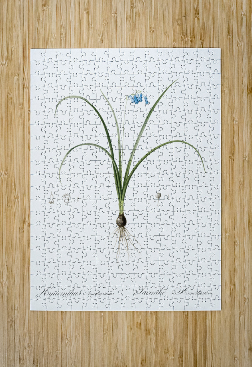 Brimeura illustration  IStockHistory com Puzzle printing