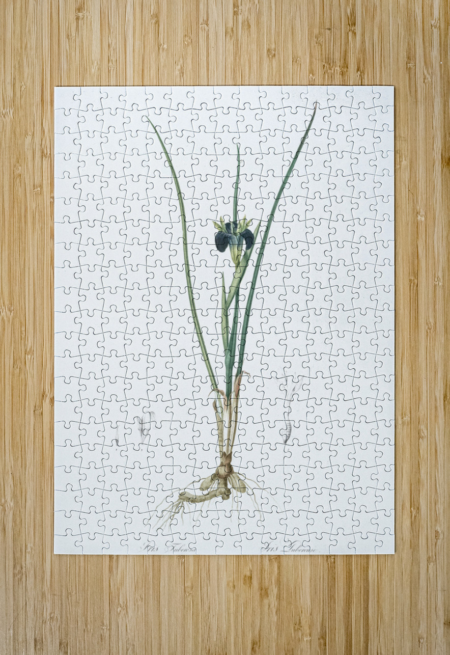 Snake head illustration  IStockHistory com Puzzle printing