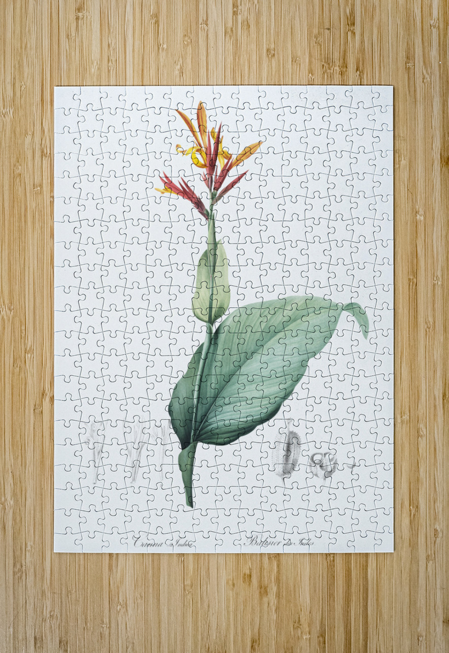 Indian shot illustration  IStockHistory com Puzzle printing