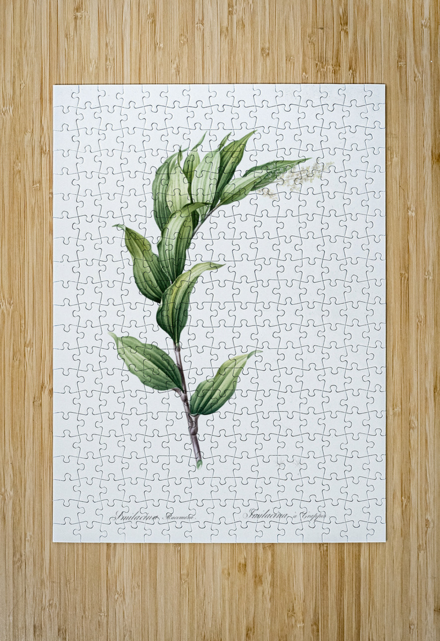 Treacleberry illustration  IStockHistory com Puzzle printing