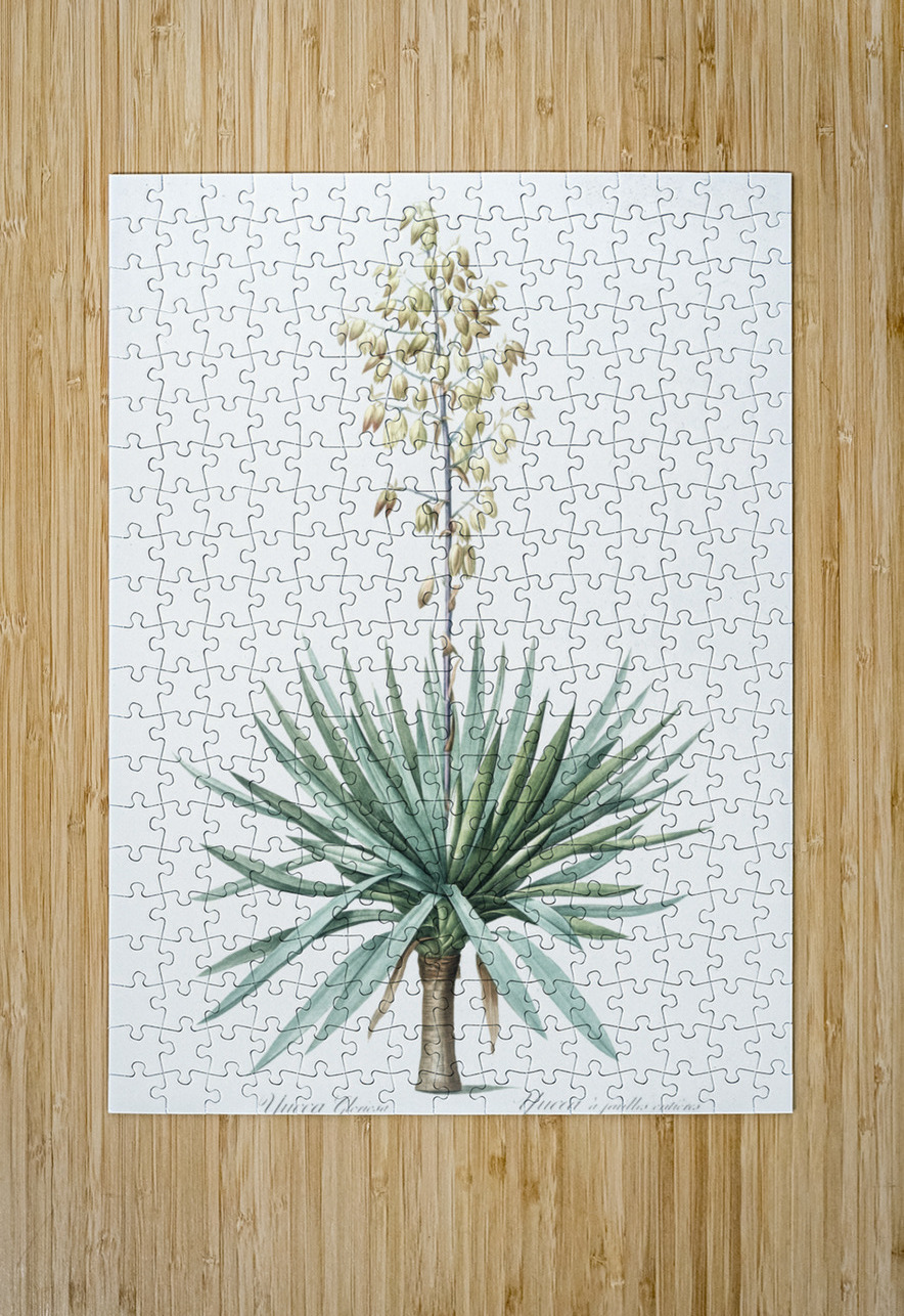 Adam needle illustration  IStockHistory com Puzzle printing