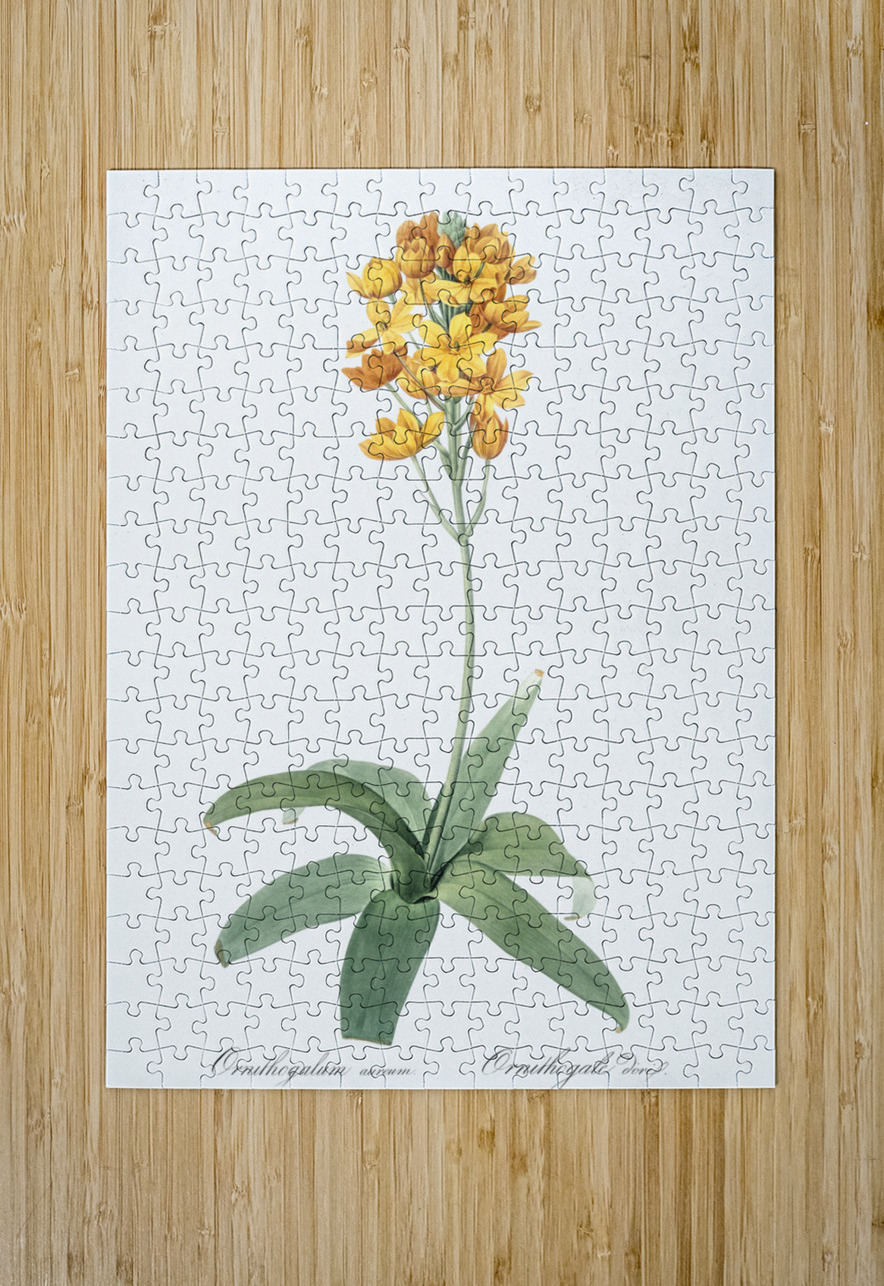 Sun star illustration  IStockHistory com Puzzle printing