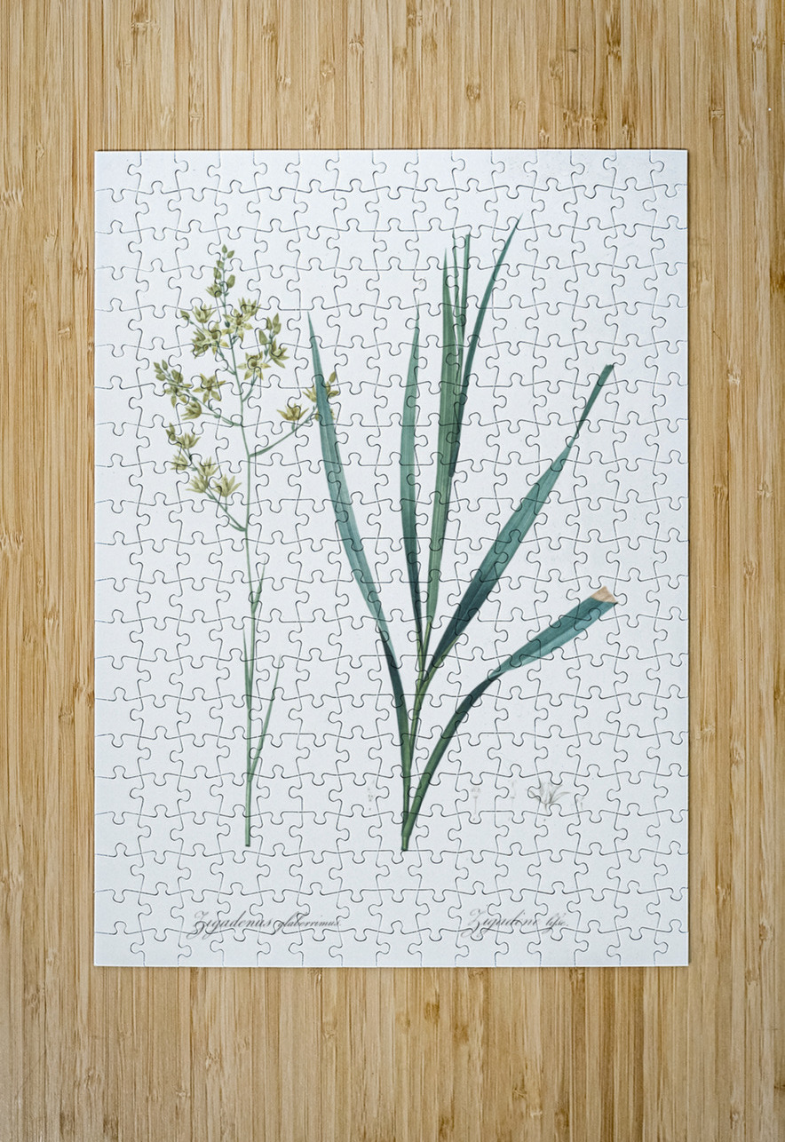 Sandbog death camas illustration  IStockHistory com Puzzle printing