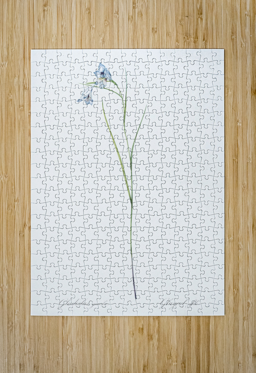 Blue pipe illustration  IStockHistory com Puzzle printing