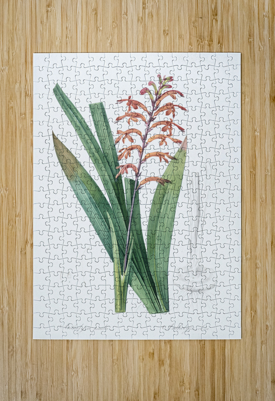 African flag illustration  IStockHistory com Puzzle printing