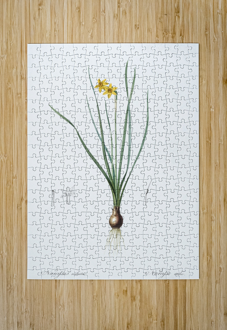 African flag illustration  IStockHistory com Puzzle printing