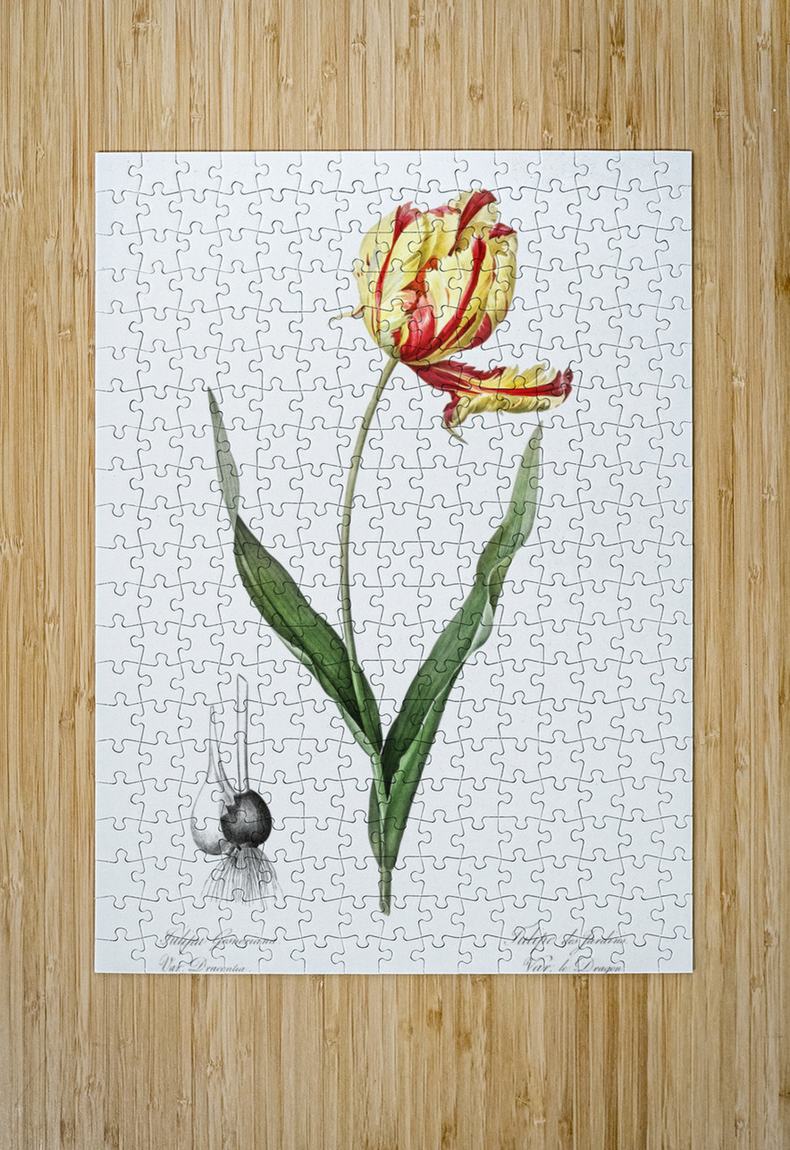 African flag illustration  IStockHistory com Puzzle printing