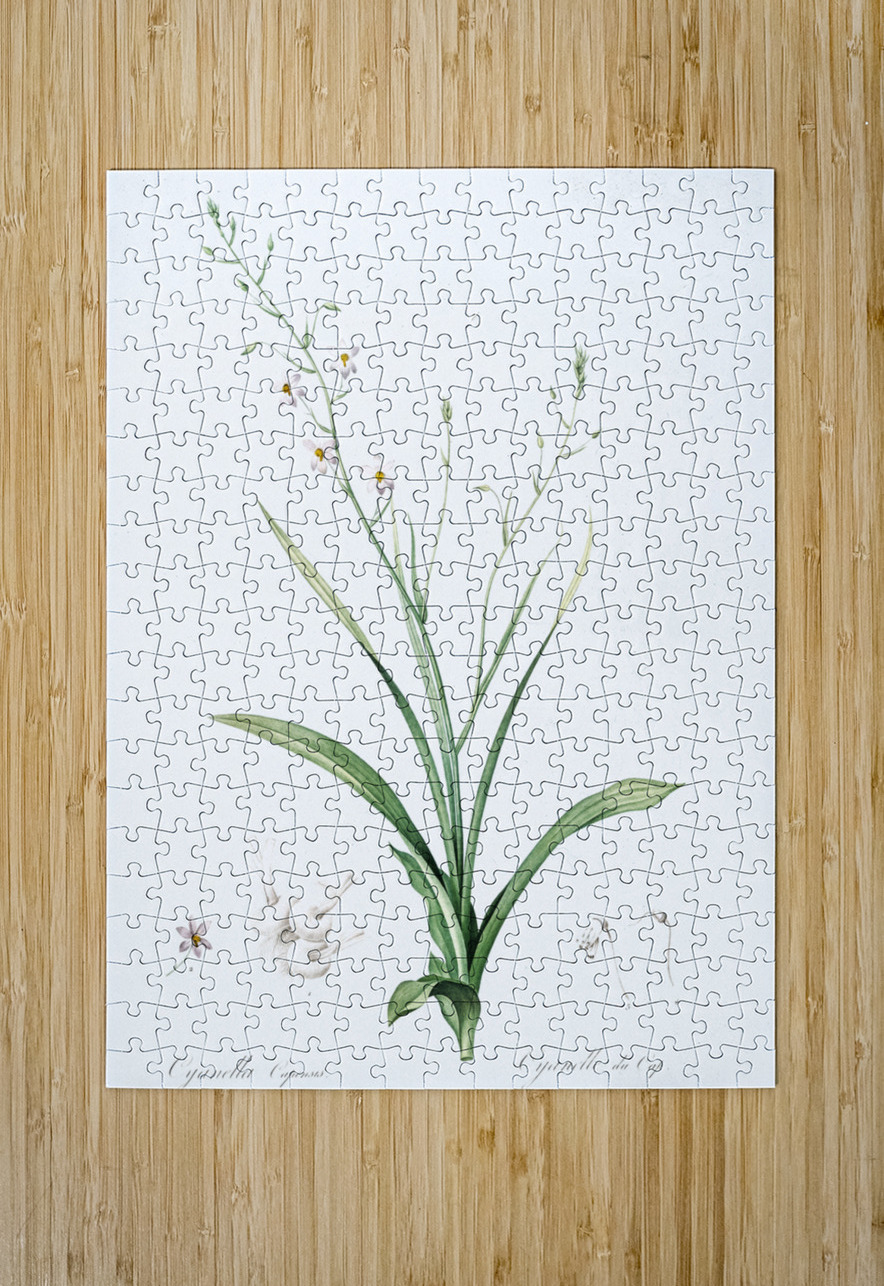 African flag illustration  IStockHistory com Puzzle printing