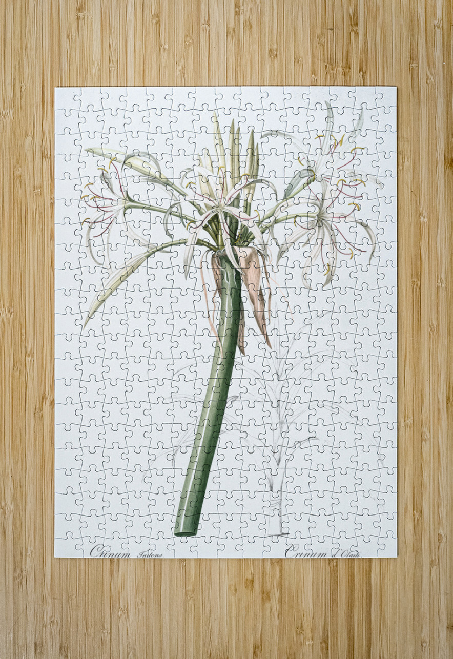 Poison bulb illustration  IStockHistory com Puzzle printing