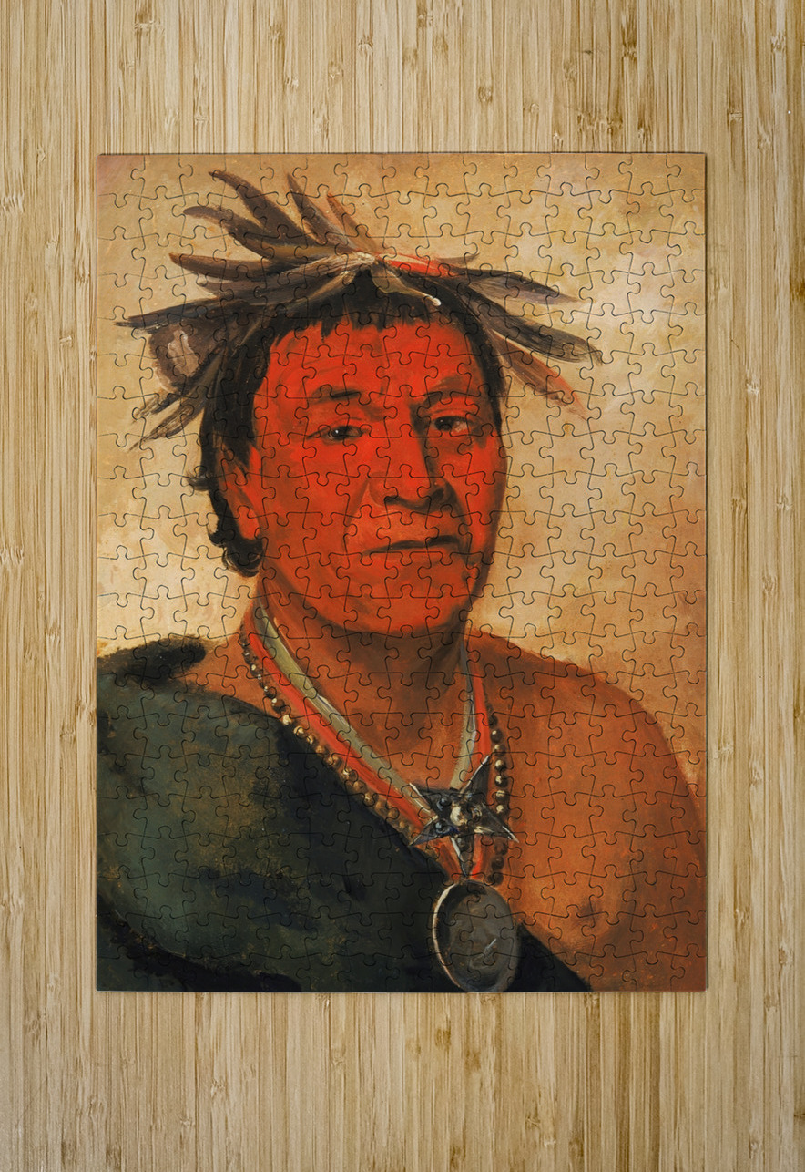 O-Ho-Páh-Sha Small Whoop a Distinguished Warrior 1831 IStockHistory com Puzzle printing