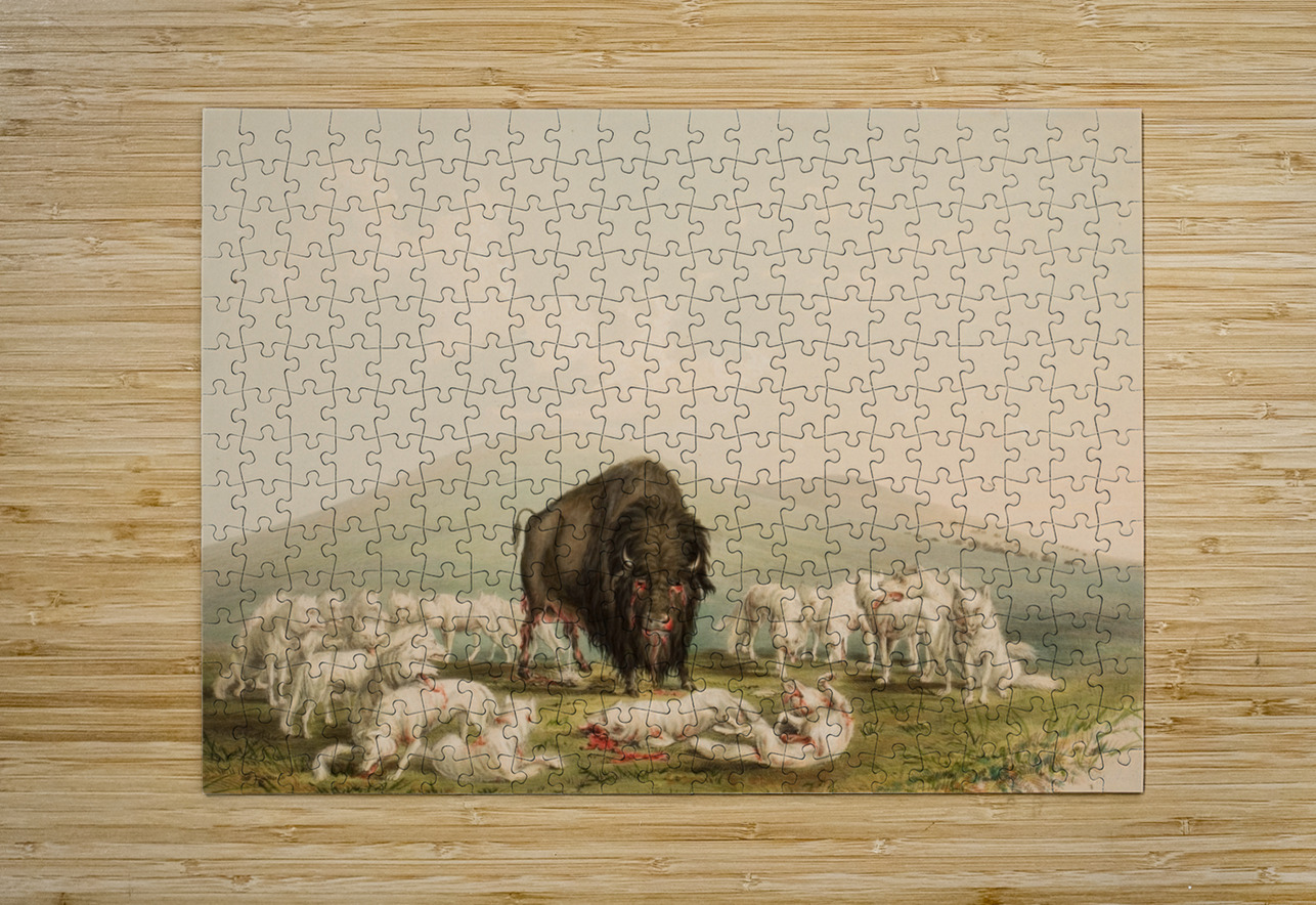 Buffalo Hunt White Wolves Attacking A Buffalo Bull 1844 IStockHistory com Puzzle printing