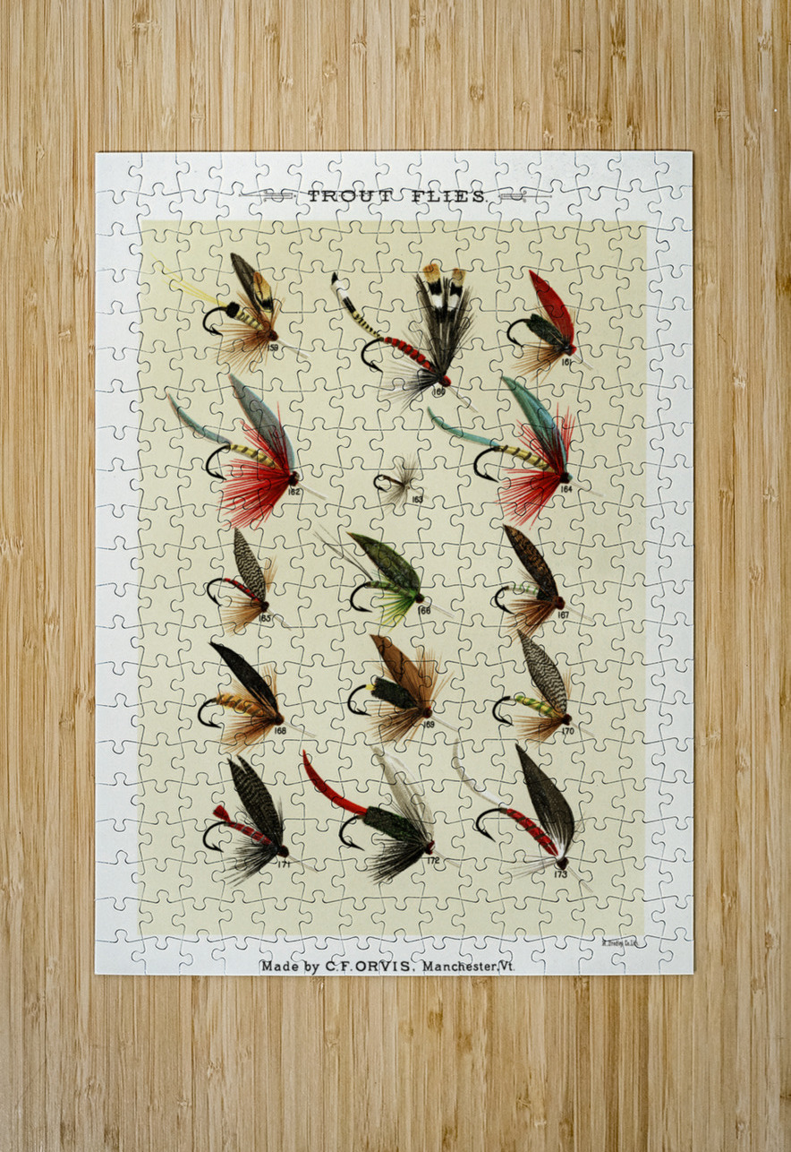 Trout Flies  IStockHistory com Puzzle printing