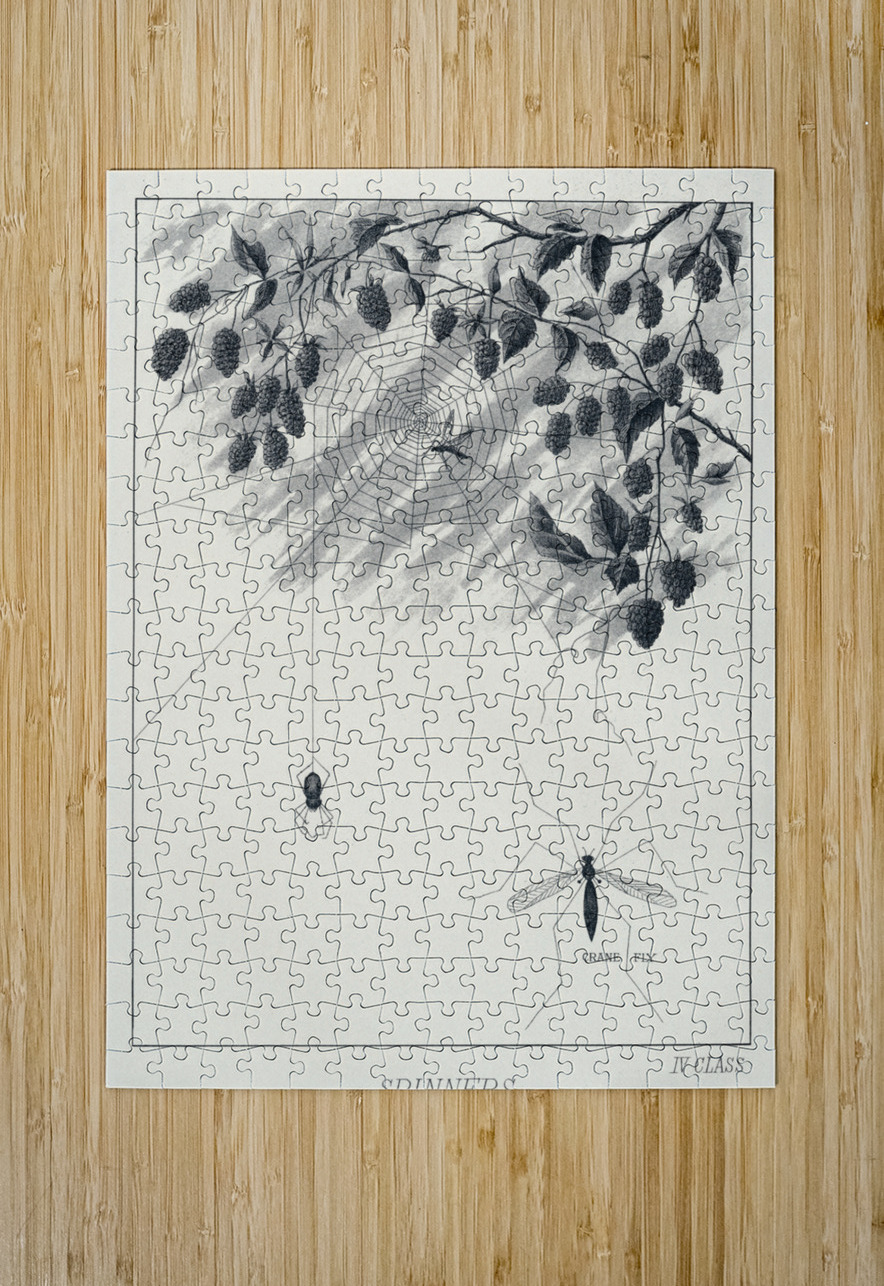 Lake Flies  IStockHistory com Puzzle printing